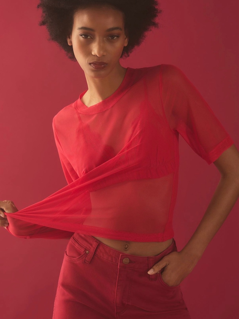 NWT Porridge/Anthropologie Bright Red Mesh Half Sleeve Top